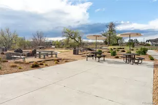 9283 Twenty Mile Road, Parker, CO 80134 - Photo 32