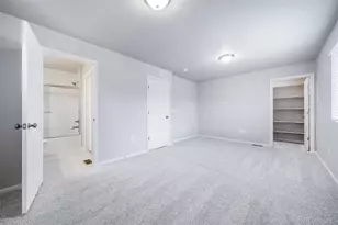 46554 Gold Pr Dr, Bennett, CO 80102 - Photo 16