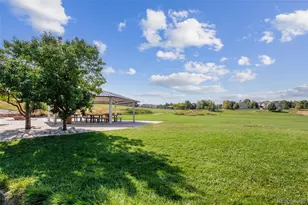 13904 Cook St, Thornton, CO 80602 - Photo 10