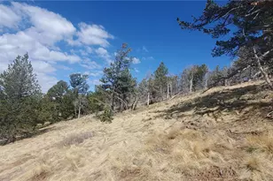 Lot 2740 Newman Pl, Fort Garland, CO 81133 - Photo 1