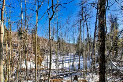 96 Dead Toad Road, Alma, CO 80420 - Photo 34