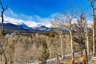 96 Dead Toad Rd, Alma, CO 80420 - Photo 1