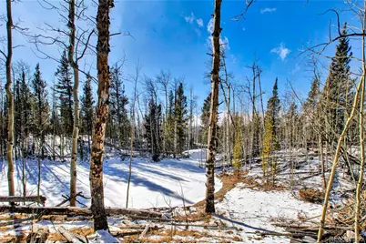 96 Dead Toad Road, Alma, CO 80420 - Photo 16