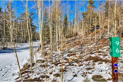 96 Dead Toad Road, Alma, CO 80420 - Photo 4