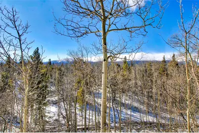 96 Dead Toad Road, Alma, CO 80420 - Photo 6