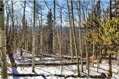 96 Dead Toad Road, Alma, CO 80420 - Photo 32