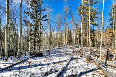 96 Dead Toad Road, Alma, CO 80420 - Photo 28