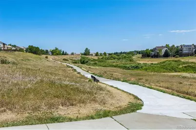 10314 Tracewood Drive, Littleton, CO 80130 - Photo 34