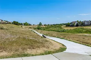 10314 Tracewood Dr, Littleton, CO 80130 - Photo 34