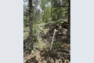 0 Loch Lomond Road, Idaho Springs, CO 80452 - Photo 1