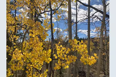 1140 Ute Trail, Jefferson, CO 80456 - Photo 14