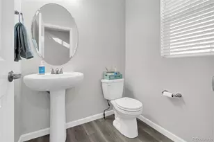 1172 Basalt Ridge Loop, Castle Rock, CO 80108 - Photo 18