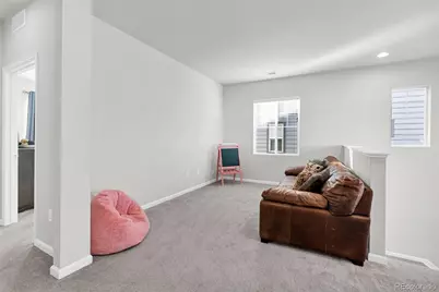 1172 Basalt Ridge Loop, Castle Rock, CO 80108 - Photo 20