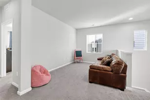 1172 Basalt Ridge Loop, Castle Rock, CO 80108 - Photo 20