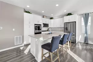 1172 Basalt Ridge Loop, Castle Rock, CO 80108 - Photo 14