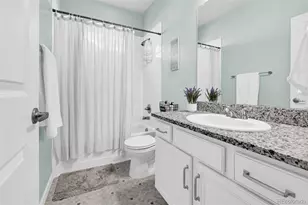 1172 Basalt Ridge Loop, Castle Rock, CO 80108 - Photo 28