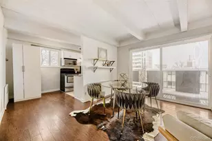 1265 Race St, Denver, CO 80206 - Photo 8