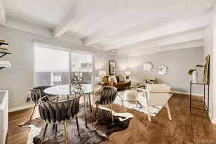 1265 Race St, Denver, CO 80206 - Photo 6