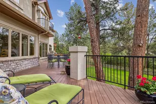 2376 Trails End, Franktown, CO 80116 - Photo 10