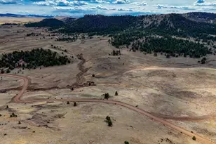 L 15 & 16 Chickadee Dr, Hartsel, CO 80449 - Photo 1