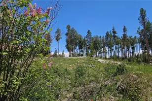118 Gcr 4947, Grand Lake, CO 80447 - Photo 2