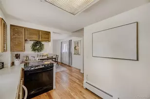 101 S Downing St, Denver, CO 80209 - Photo 14