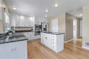 1645 Birchleaf Ct, Castle Rock, CO 80104 - Photo 12