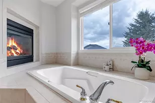 1645 Birchleaf Ct, Castle Rock, CO 80104 - Photo 20