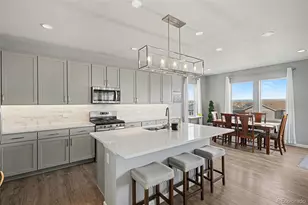 5028 Basalt Ridge Cir, Castle Rock, CO 80108 - Photo 8