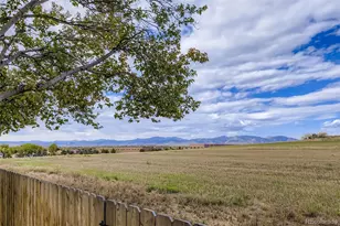 11017 Balsam St, Broomfield, CO 80021 - Photo 48