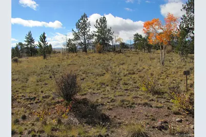 206 Bandolier Court, Hartsel, CO 80449 - Photo 2