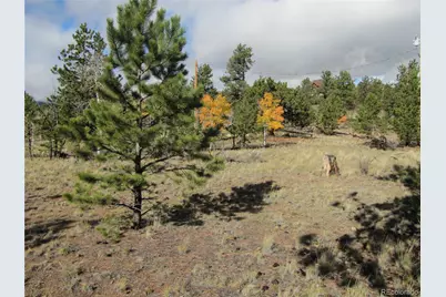 206 Bandolier Court, Hartsel, CO 80449 - Photo 18