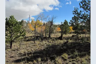 206 Bandolier Court, Hartsel, CO 80449 - Photo 20