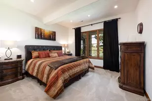 11415 Birolli Pl, Littleton, CO 80125 - Photo 36