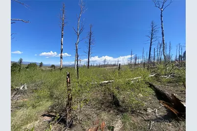 2142 Riccardo Lane, Fort Garland, CO 81133 - Photo 4