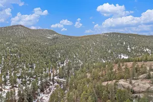 15322 S Elk Creek Rd, Pine, CO 80470 - Photo 8