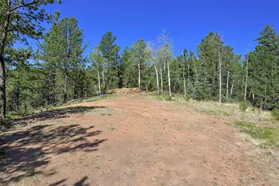 20083 S State Highway 67, Divide, CO 80814 - Photo 4