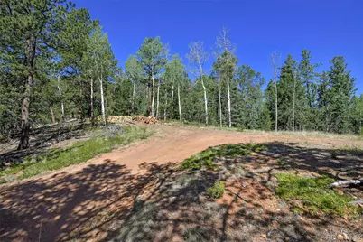 20083 S State Highway 67, Divide, CO 80814 - Photo 6
