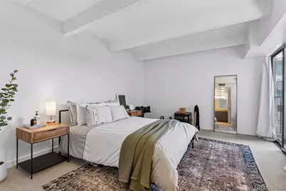 777 N Washington Street #1203, Denver, CO 80203 - Photo 18