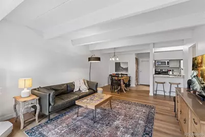 777 N Washington Street #1203, Denver, CO 80203 - Photo 10
