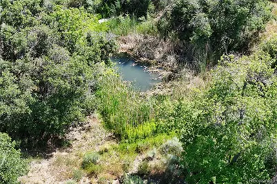 18842 Kimball Creek Road, Collbran, CO 81624 - Photo 38