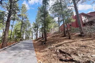 9805 Deerfield Rd, Franktown, CO 80116 - Photo 48