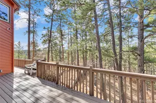 9805 Deerfield Rd, Franktown, CO 80116 - Photo 40
