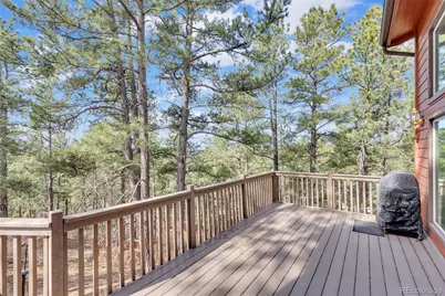 9805 Deerfield Road, Franktown, CO 80116 - Photo 8