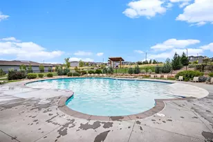 1065 White Leaf Cir, Castle Rock, CO 80108 - Photo 42