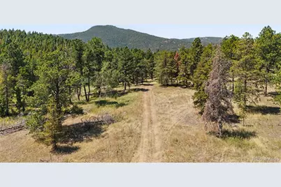 23300 Pleasant Park Road, Conifer, CO 80433 - Photo 2