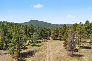 23300 Pleasant Park Rd, Conifer, CO 80433 - Photo 2