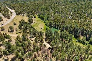 23300 Pleasant Park Rd, Conifer, CO 80433 - Photo 30
