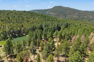 23300 Pleasant Park Rd, Conifer, CO 80433 - Photo 32