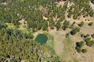23300 Pleasant Park Rd, Conifer, CO 80433 - Photo 28
